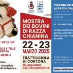 Mostra dei Bovini di razza chianina